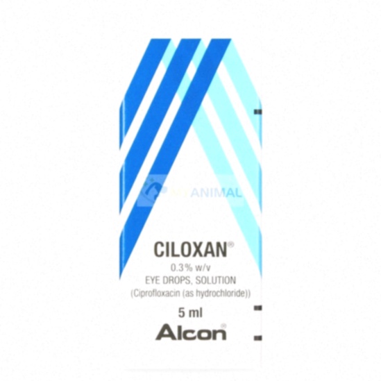 ciloxan